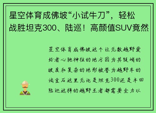 星空体育成佛坡“小试牛刀”，轻松战胜坦克300、陆巡！高颜值SUV竟然才10来万！ - 副本
