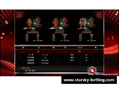 星空体育NBA球队简介与赛制详解，探索篮球魅力 - 副本